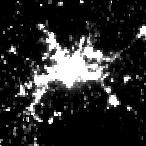 Aleppo - March 2012 (Credit: New York Times)