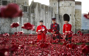 The installation 'Blood Swept Lands and Seas of Red' at the Tower of London, commemorating the centenary of Britain's involvement in the First World War . (Credit: Geoff Pugh/The Telegraph)