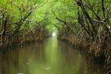 Everglades water way on a rainy afternoon